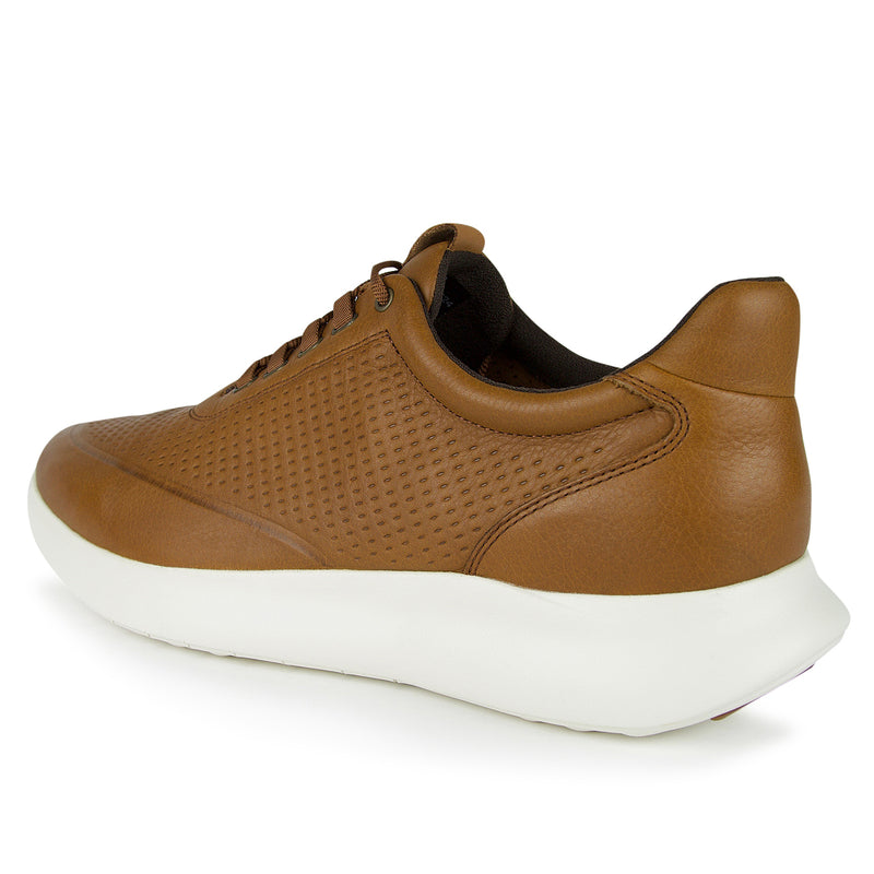 Amherst 2.0 Embossed leather sneaker in brown with lightweight, flexible design and J&M Smart Degree Technology.